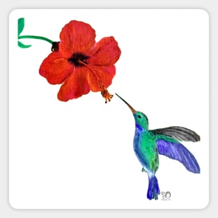 Hummingbird in Flight Feeding from Hibiscus Original Art Painting Magnet